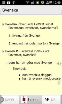 Alla Svenska Ordbok android App screenshot 2